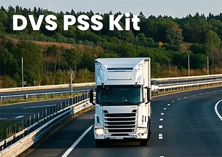 DVS渐进式安全系统